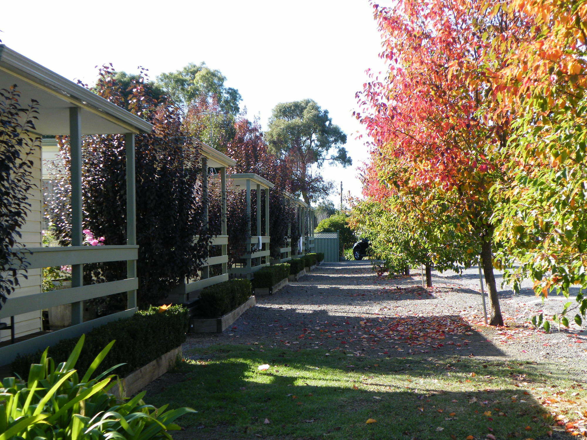 Lake Hamilton Motor Village And Caravan Park Bagian luar foto