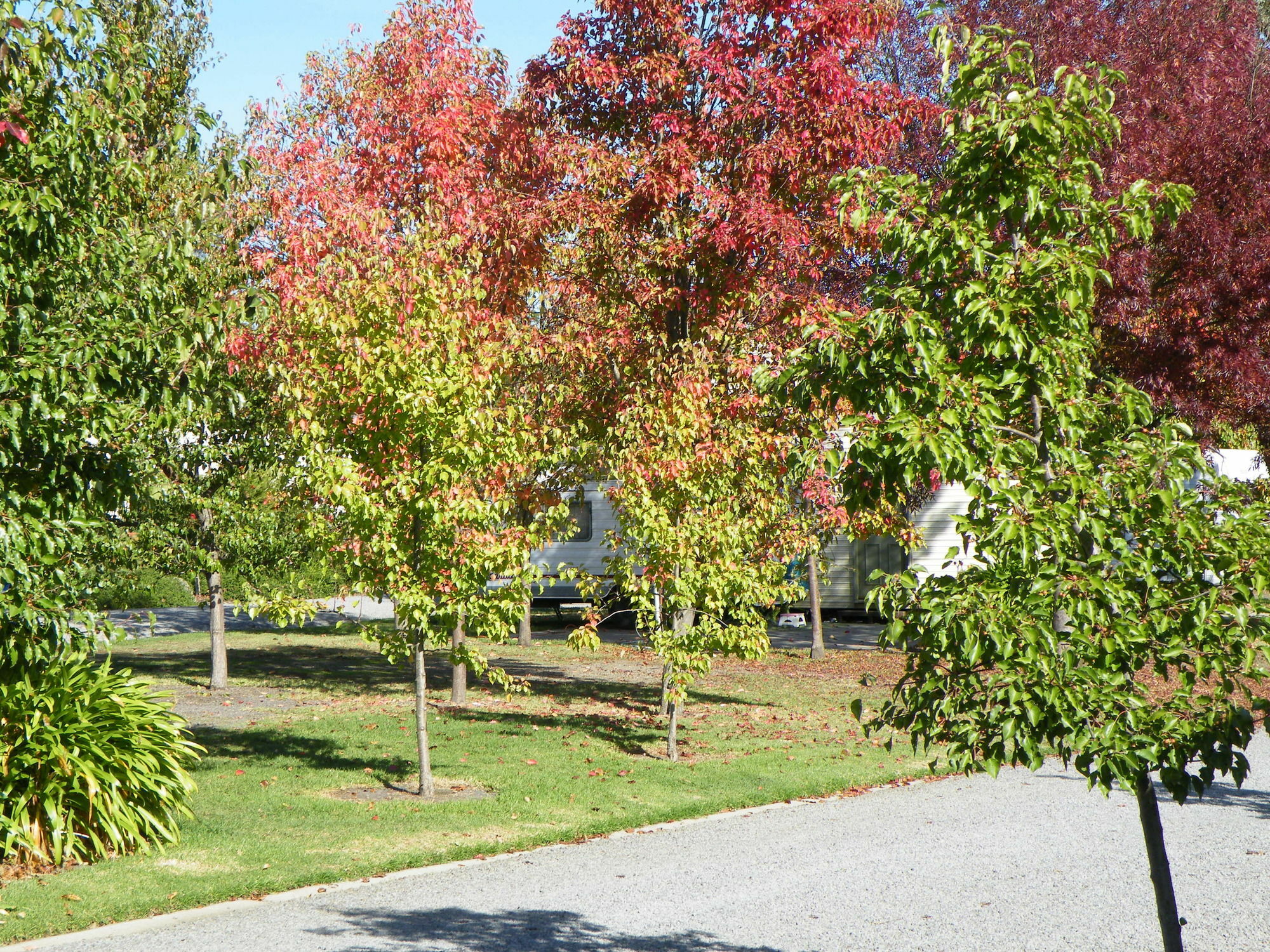 Lake Hamilton Motor Village And Caravan Park Bagian luar foto