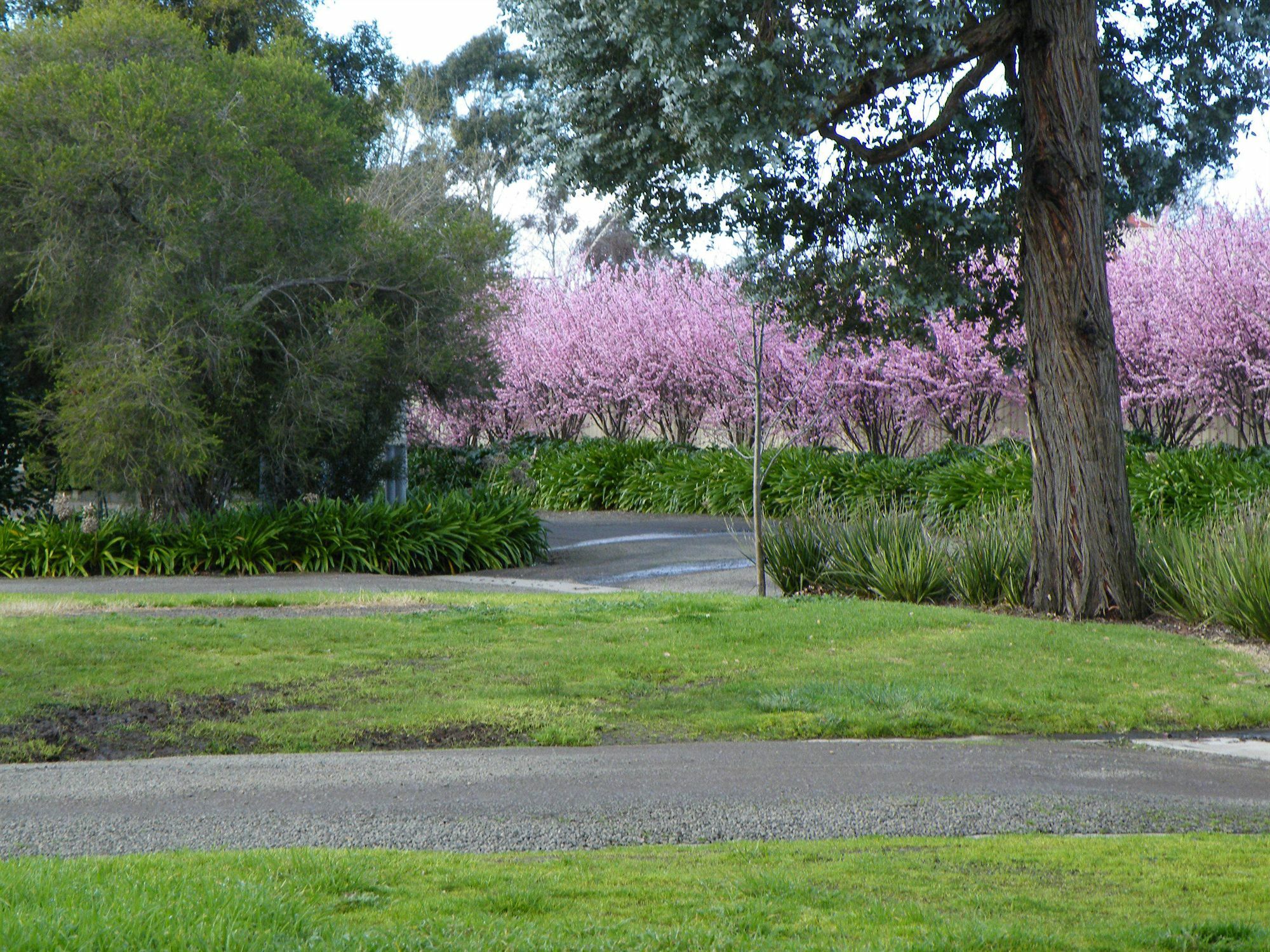 Lake Hamilton Motor Village And Caravan Park Bagian luar foto