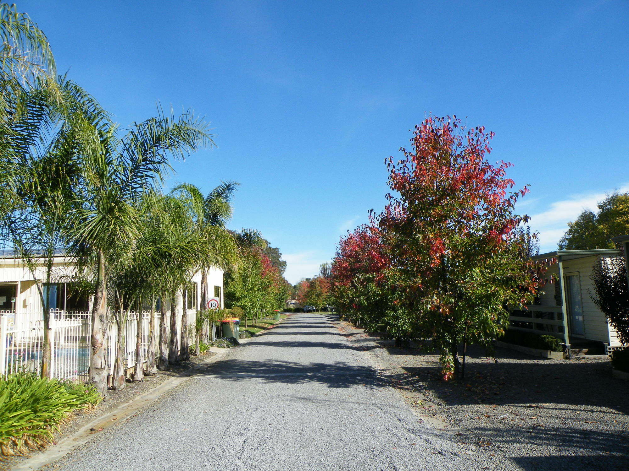 Lake Hamilton Motor Village And Caravan Park Bagian luar foto